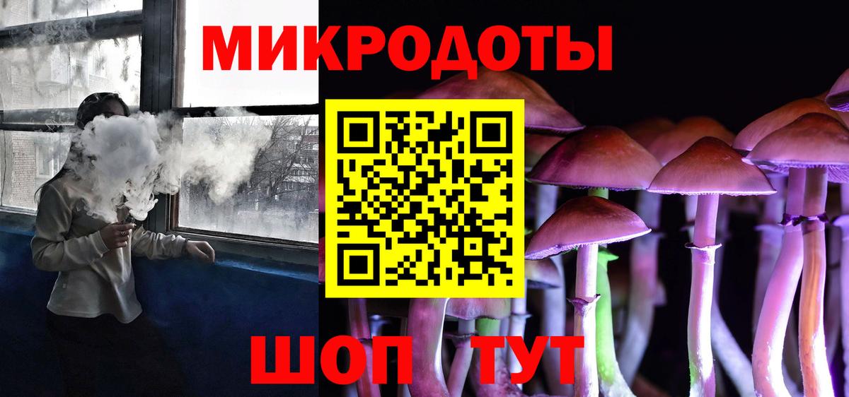 Галлюциногенные грибы Psilocybine cubensis Кимовск