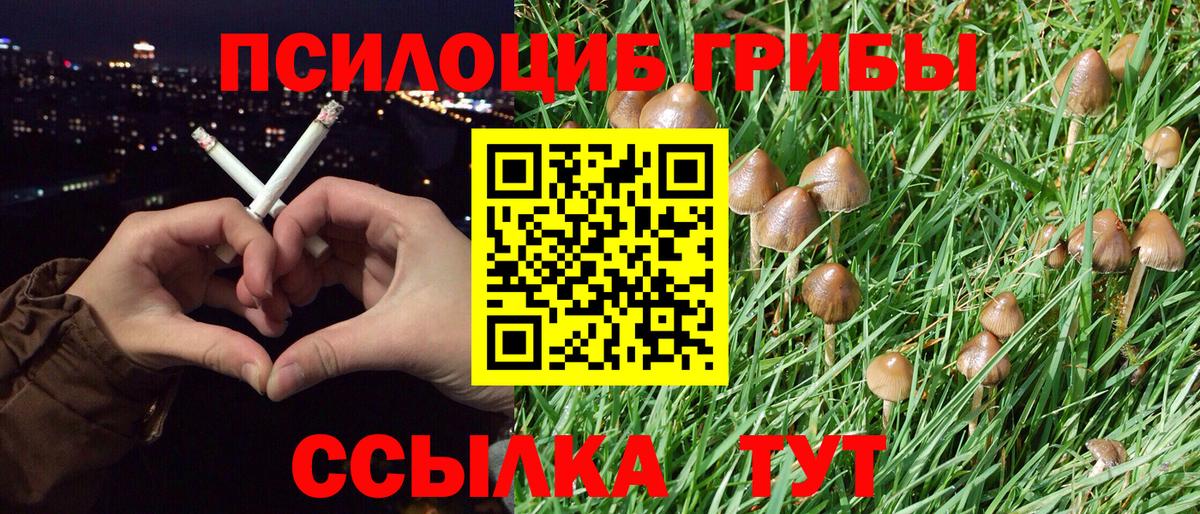 Кимовск  Галлюциногенные грибы Psilocybe  как найти   Вход с VPN  Галлюциногенные грибы Cubensis 